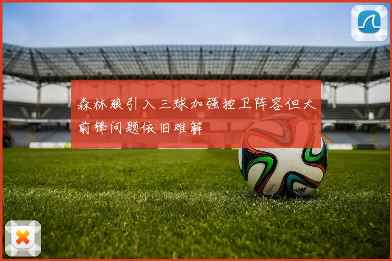 森林狼引入三球加强控卫阵容但大前锋问题依旧难解